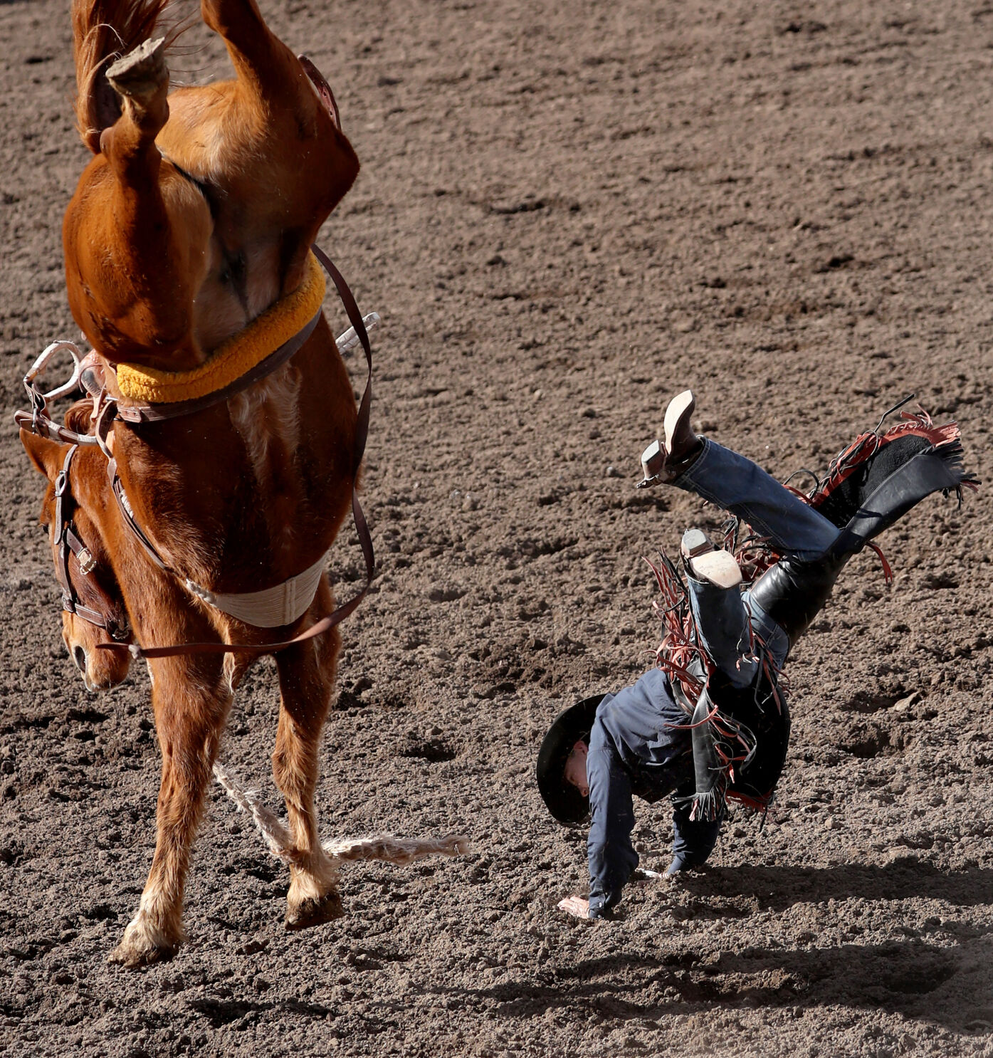 Fiesta de los Vaqueros Tucson Rodeo